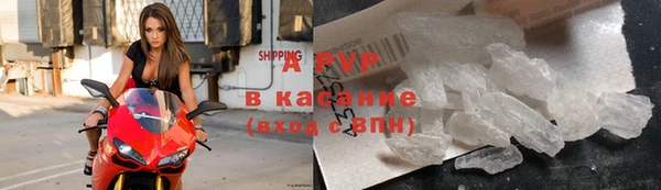 стаф Балахна