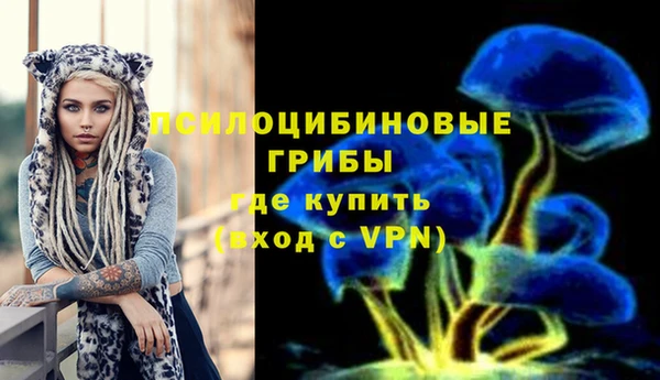 стаф Балахна