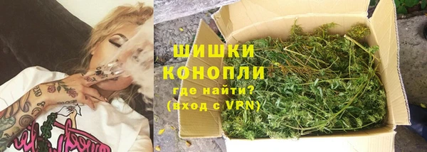 стаф Балахна