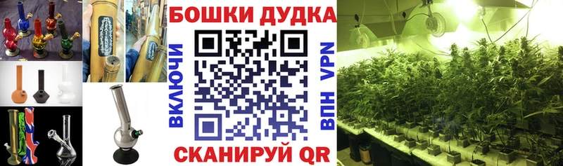 Бошки марихуана Amnesia  Купить где  Новоуральск 